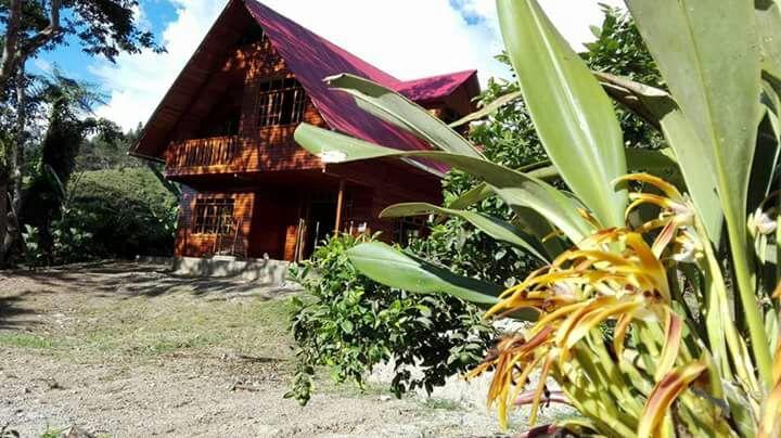 La Cabana De Noa Oxapampa Εξωτερικό φωτογραφία